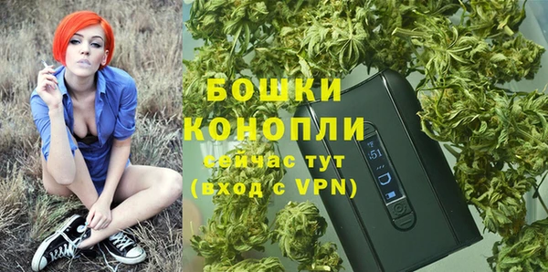 гашик Данков